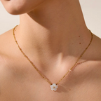 Colar com Pingente Flor Natural Shell Premium