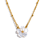 Colar com Pingente Flor Natural Shell Premium